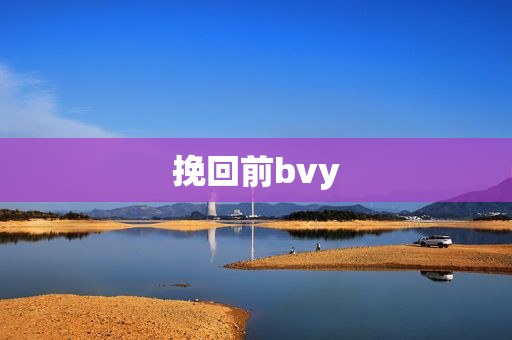 挽回前bvy