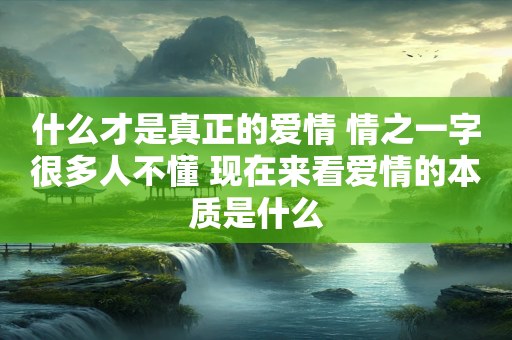 什么才是真正的爱情 情之一字很多人不懂 现在来看爱情的本质是什么