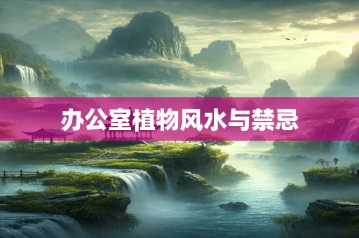办公室植物风水与禁忌