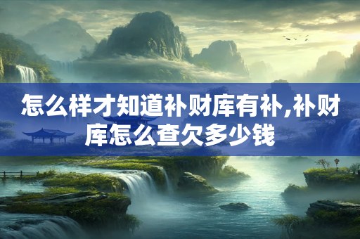 怎么样才知道补财库有补,补财库怎么查欠多少钱