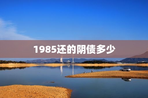 1985还的阴债多少