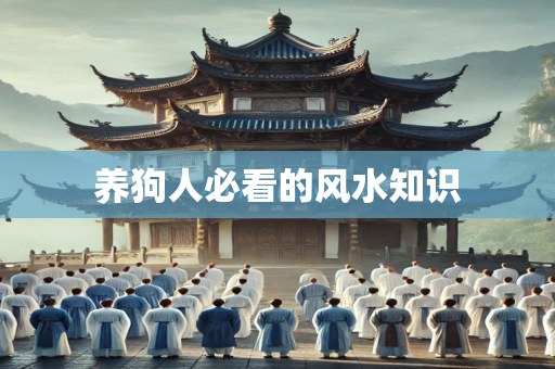 养狗人必看的风水知识