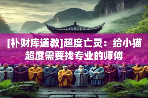 [补财库道教]超度亡灵：给小猫超度需要找专业的师傅