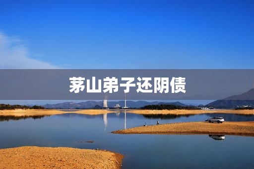 茅山弟子还阴债