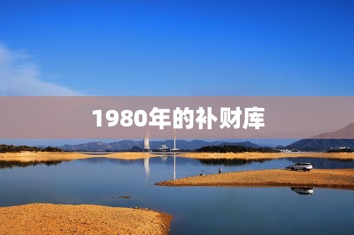 1980年的补财库