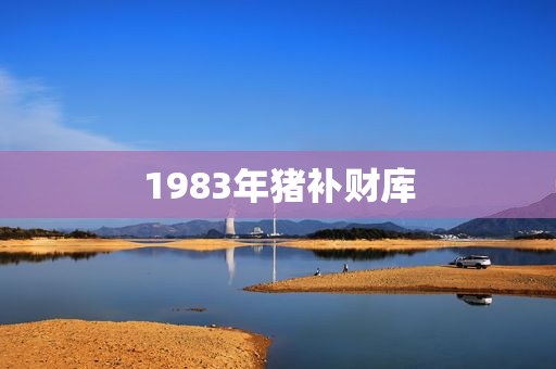 1983年猪补财库