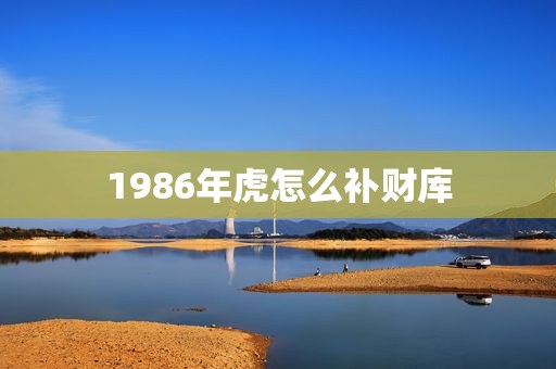 1986年虎怎么补财库