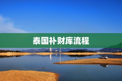 泰国补财库流程