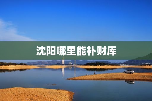 沈阳哪里能补财库