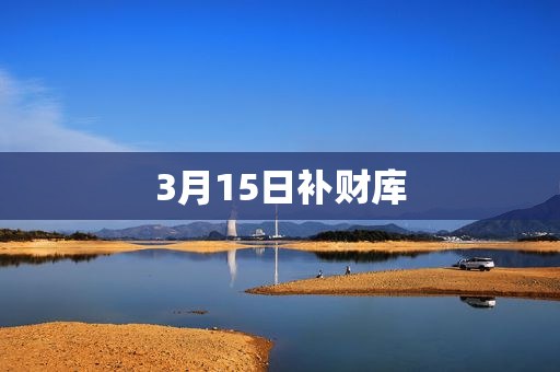 3月15日补财库