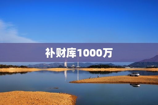 补财库1000万