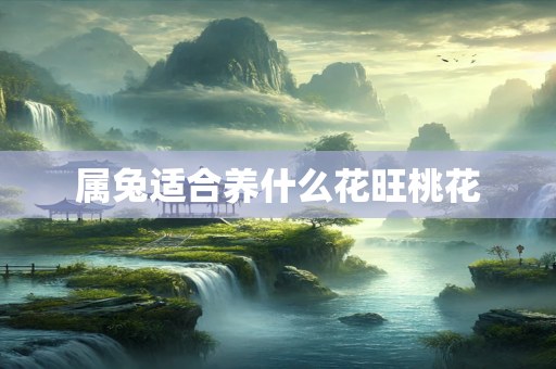 属兔适合养什么花旺桃花