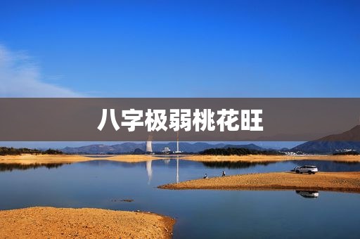 八字极弱桃花旺