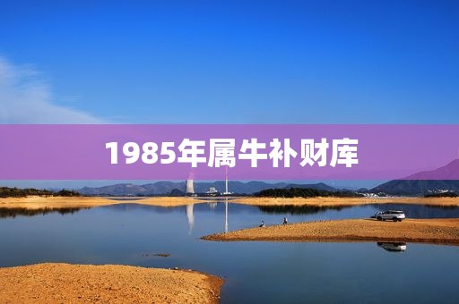 1985年属牛补财库