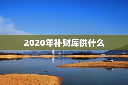 2020年补财库供什么