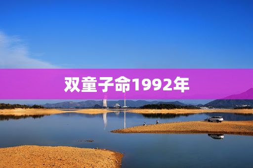 双童子命1992年