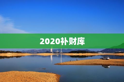 2020补财库