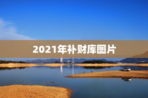 2021年补财库图片